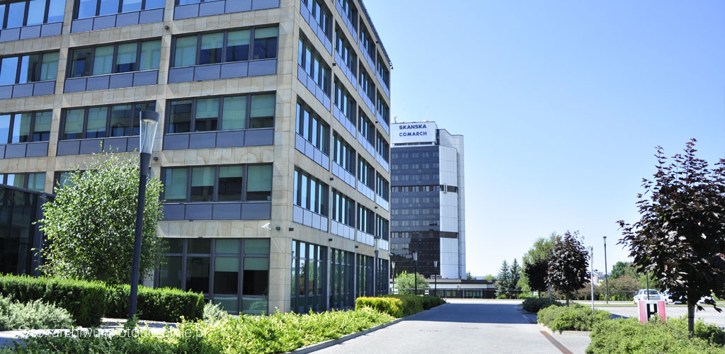 Studia w Kielcach praca i praktyki